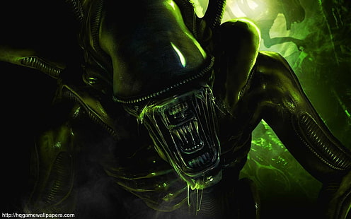Alien Xenomorph-Poster, Alien (Film), Xenomorph, HD-Hintergrundbild HD wallpaper