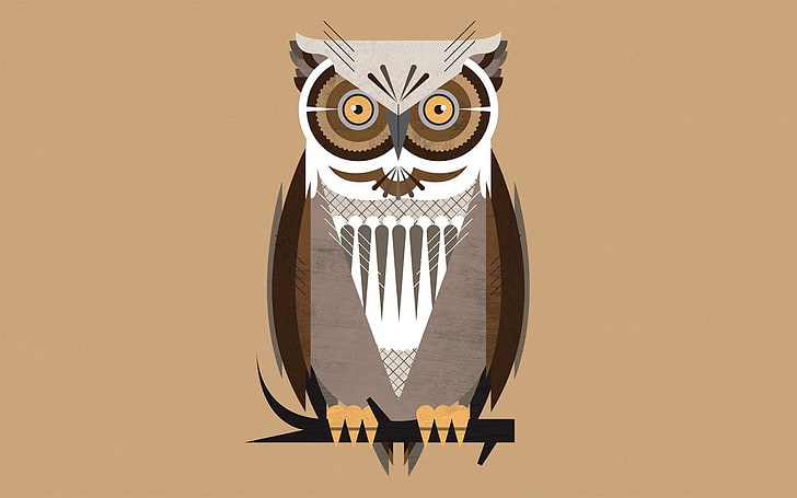 owl, HD wallpaper