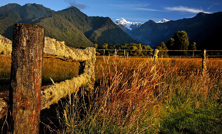 grass and trees on mountain under white cloud and blue sky during daytime, rural, NZ, grass, trees, white cloud, blue sky, daytime, Moss, lichen, Old, fence, sunset  mountains, Tamron, PZD, Fox Glacier, Nature, Landscape, Sony DSLR A580, Mt Tasman, South Island, Southern Alps New Zealand, Explored, Public Domain, Dedication, CC0, Geo-Tagged, flickr, lover, photos, mountain, scenics, outdoors, mountain Peak, autumn, sky, mountain Range, HD wallpaper