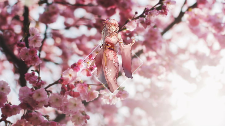 landscape, cherry blossom, anime girls, blurred, HD wallpaper