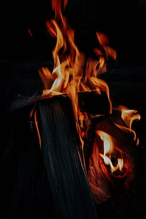 fuoco, falò, legna da ardere, fiamma, buio, Sfondo HD HD wallpaper