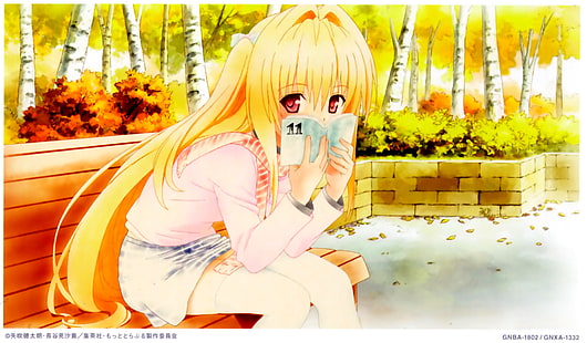 1600x1200 Anime Hot Anime HD arte, To Love Ru, Golden Darkness, HD papel de parede HD wallpaper