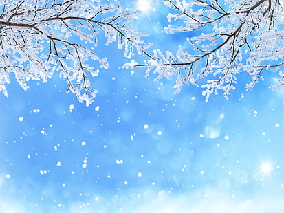 Branches, Winter snow, 5K, Snowfall, HD wallpaper HD wallpaper