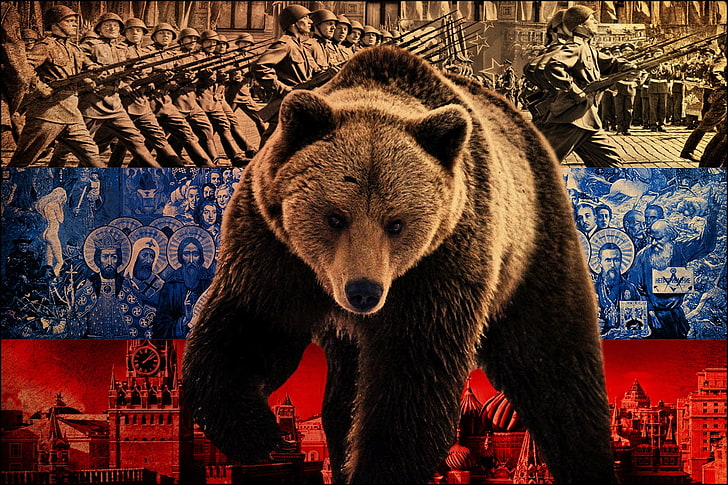 Медведь иллюстрация, медведь, символ, флаг, россия, HD обои