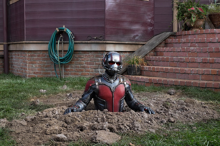 4k, Ant-Man and the Wasp, Paul Rudd, HD tapet