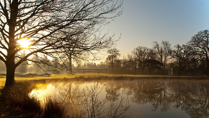 Gewässer digitale Tapete, Natur, Landschaft, Bäume, gesprenkeltes Sonnenlicht, Winter, See, HD-Hintergrundbild
