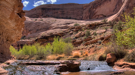 зеленое растение, ручей, горная река, каньон, ущелье, кусты, HD обои HD wallpaper