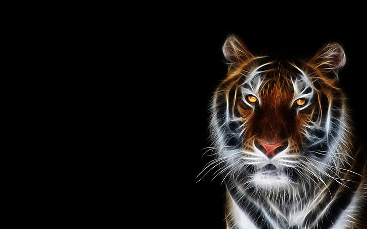 background, black, fractalius, Tigers, HD wallpaper