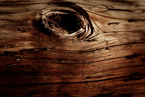 permukaan kayu coklat, kayu, tekstur, makro, alam, Wallpaper HD HD wallpaper