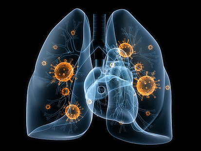 enfermedad, pulmones, virus, bacterias, Fondo de pantalla HD HD wallpaper