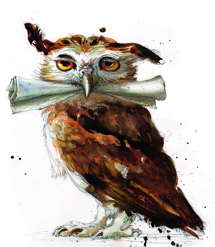 brown owl painting, digital art, fantasy art, portrait display, paper, white background, owl, Harry Potter, yellow eyes, paint splatter, painting, HD wallpaper