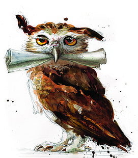 brown owl painting, digital art, fantasy art, portrait display, paper, white background, owl, Harry Potter, yellow eyes, paint splatter, painting, HD wallpaper HD wallpaper