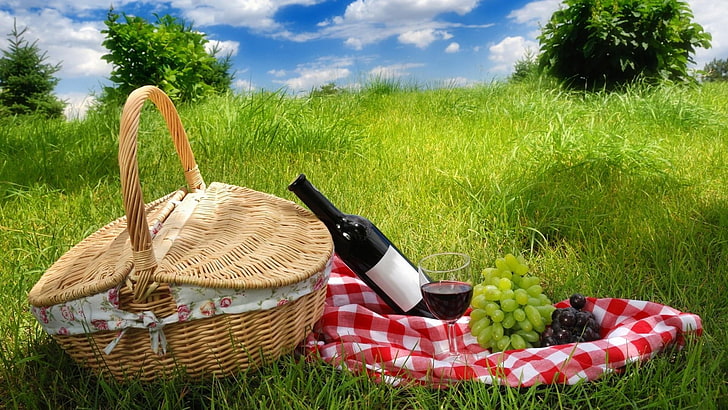 picnic, basket, field, grass, rest, HD wallpaper