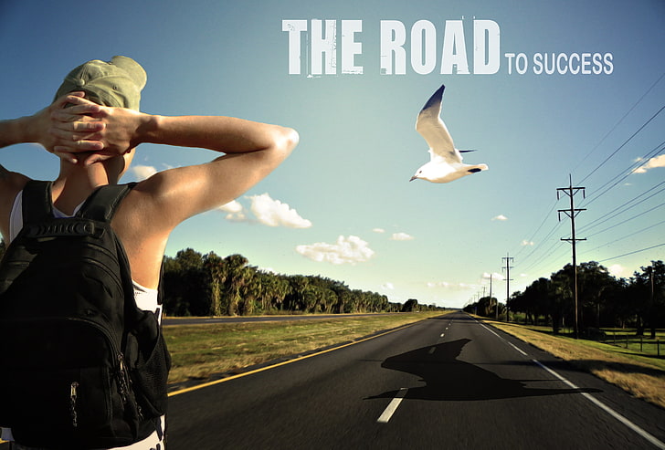 The Road to success wallpaper, road, bird, young, man, energy, men, guy, path, positive, travel, strong, success, growth, male, thinking, walking, HD wallpaper