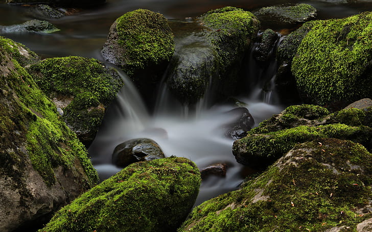 Rocks Stones River Moss Timelapse HD, white and black waterfalls, nature, rocks, stones, river, timelapse, moss, HD wallpaper