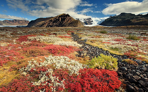Computer Hintergrund Natur Schönheit 1920x1200, HD-Hintergrundbild HD wallpaper