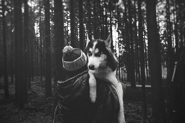 人とシベリアンハスキー、森林、犬、シベリアンハスキー、選択的な着色のグレースケール写真、 HDデスクトップの壁紙