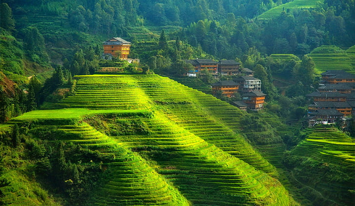 China, landscape, terraced field, hills, HD wallpaper