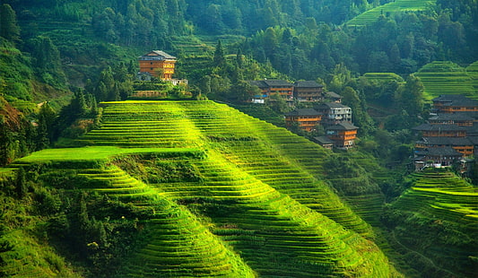 China, paisaje, campo en terrazas, colinas, Fondo de pantalla HD HD wallpaper