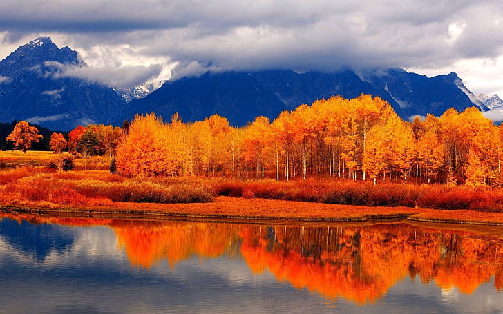 Есенна горска река-HD тапет за десктоп, портокалови дървета, HD тапет