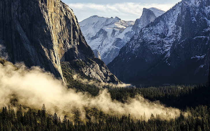 зелена долина, Национален парк Йосемити, Apple Inc., планини, мъгла, гора, сутрин, природа, пейзаж, HD тапет