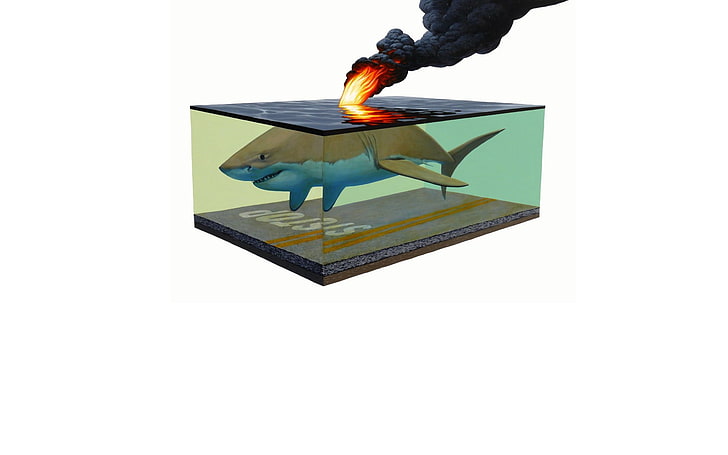 Aquarium mit schwarzem Rahmen, Haifisch, Feuer, surreal, Stoppschild, Grafik, weißer Hintergrund, einfacher Hintergrund, HD-Hintergrundbild