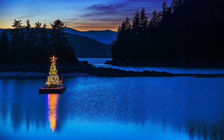 Christmas, raft, tree, christmas tree in the middle of body of water, USA, tree, lights, Alaska, Christmas, garland, raft, Amalga Harbor, Juneau, HD wallpaper