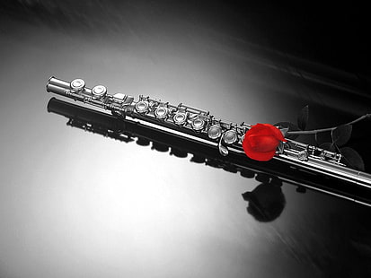 instrument de flûte ♥ Flûte ♥ Divertissement Musique HD Art, amour, musique, notes, instrument, flûte, mélodie, Fond d'écran HD HD wallpaper