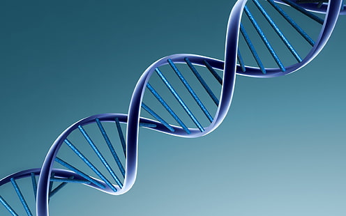 유전자, 미니멀리즘, 나선, DNA, HD 배경 화면 HD wallpaper