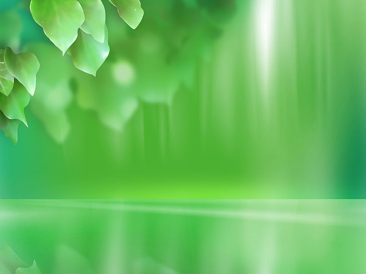 녹색 잎 악센트 디지털 배경 화면, 녹색, 반점, 줄무늬, 빛, HD 배경 화면