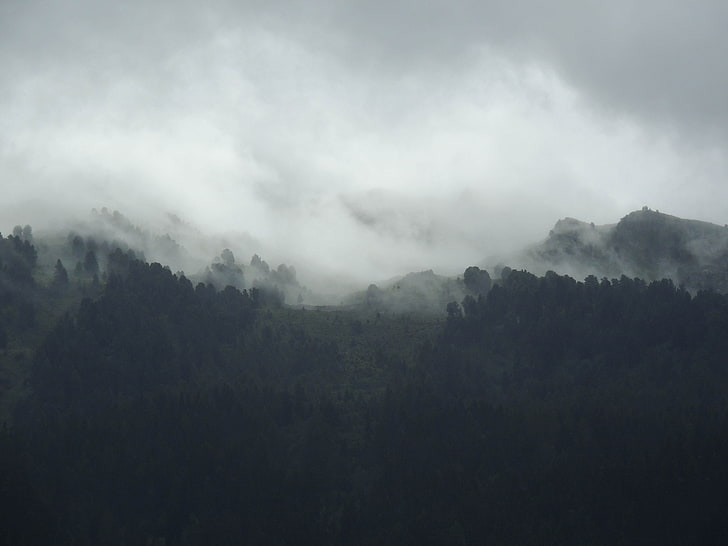 Туман в горах, HD обои