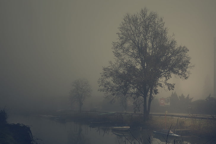 nature, trees, mist, river, boat, gray, gloomy, HD wallpaper