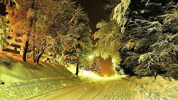 naturaleza, paisaje, tarde, invierno, camino, linterna, nieve, árboles, luces, Fondo de pantalla HD