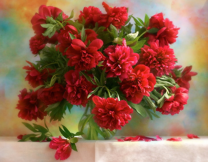 centrotavola peonie rosse, fiori, bouquet, vaso, peonie, Sfondo HD
