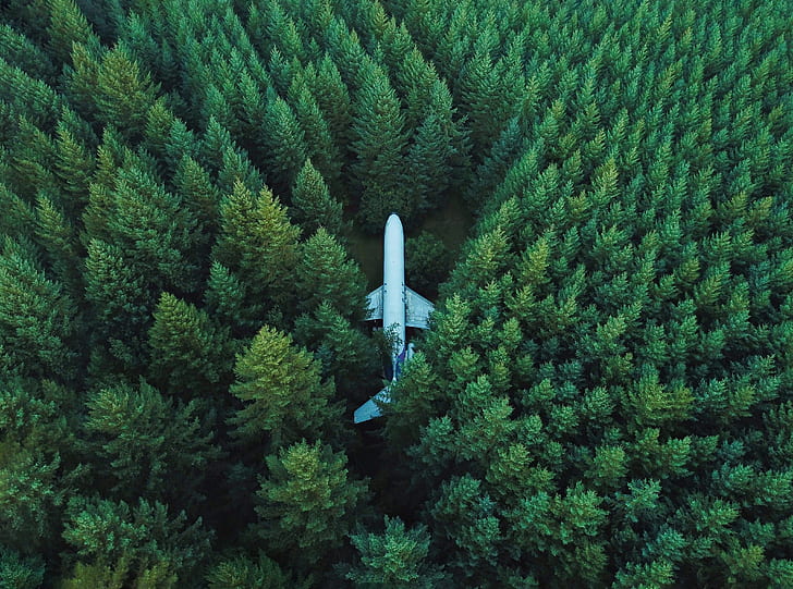 Melhor Fotografia Aérea De Drones, Natureza, Florestas, Perdido, Floresta, Bosques, Avião, Aérea, Floresta, DronePhotography, DroneView, HD papel de parede