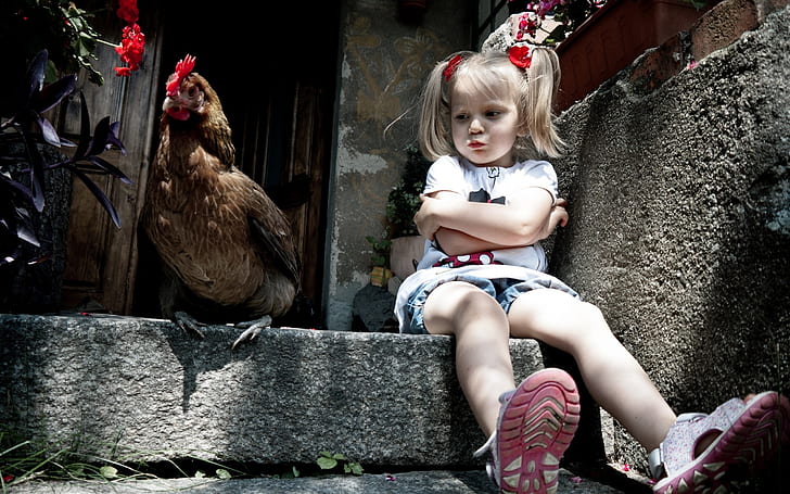 Petite fille et poulet, poulet brun;t-shirt blanc pour fille, poulet, petite fille, jolie fille, Fond d'écran HD