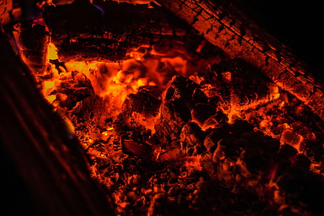 burning charcoals, bonfire, ash, fire, coals, smoldering, HD wallpaper HD wallpaper