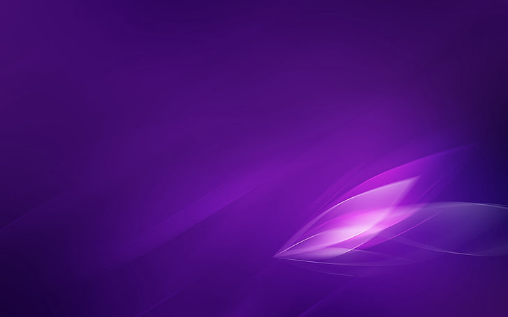 illustration pourpre, ombre, violet, feuilles, lumière, Fond d'écran HD