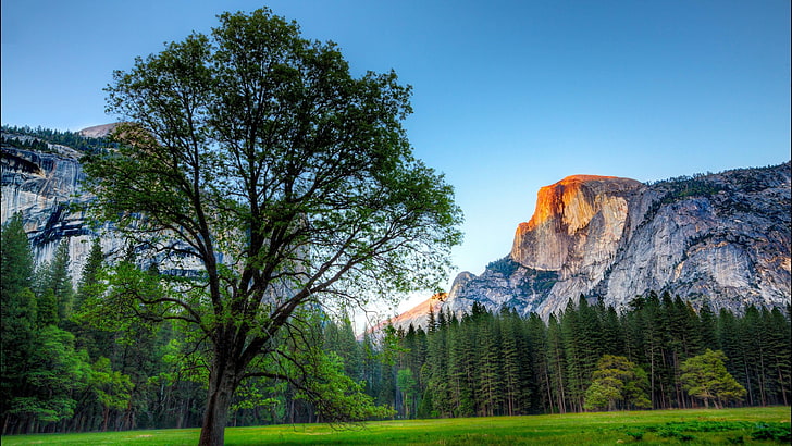 Yosemite National Park, Nationalpark, Yosemite, Sonnenaufgang, Landschaft, Wiese, Berg, USA, Amerika, Sierra Nevada, Berge, Kalifornien, HD-Hintergrundbild