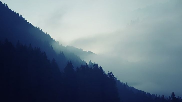 бяла мъгла, природа, мъгла, гора, дървета, планини, HD тапет