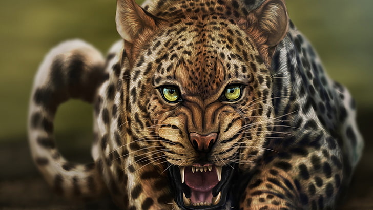 animals, big cat, leopard, feline, fur, jaguar, predator, animal, cat, animal skin, wild, mammal, HD wallpaper