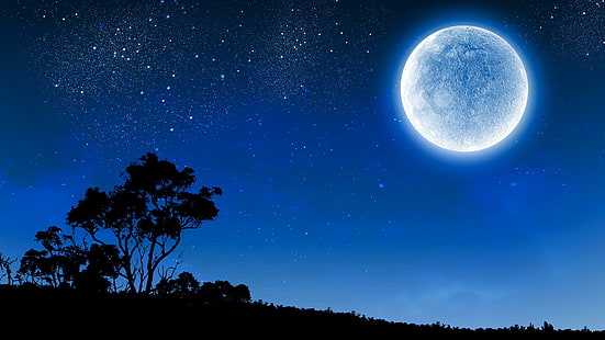 ดวงจันทร์, พระจันทร์เต็มดวง, กลางคืน, ท้องฟ้ายามค่ำคืน, เต็มไปด้วยดวงดาว, ภาพเงา, คืนเต็มไปด้วยดวงดาว, วอลล์เปเปอร์ HD HD wallpaper