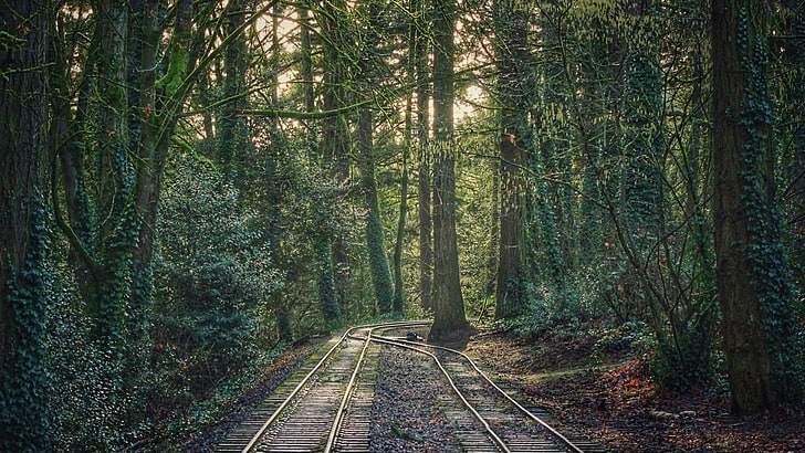 Train tracks in Portland Oregon, HD wallpaper