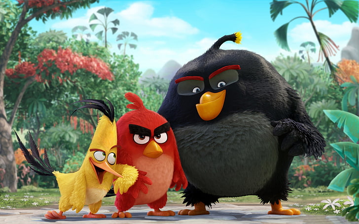 Angry Birds Movie 2016 HD обои, Angry Birds цифровые обои, HD обои