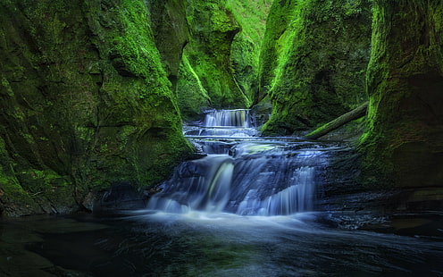 снимка на водните водопади, снимка, водните водопади, Шотландия, ждрелото, амвонът на дявола, пейзаж, водопад, природа, река, поток, гора, свежест, вода, зелен цвят, скала - обект, дърво, живопис, тропическа дъждовна гора, на открито, красота В природата, HD тапет HD wallpaper