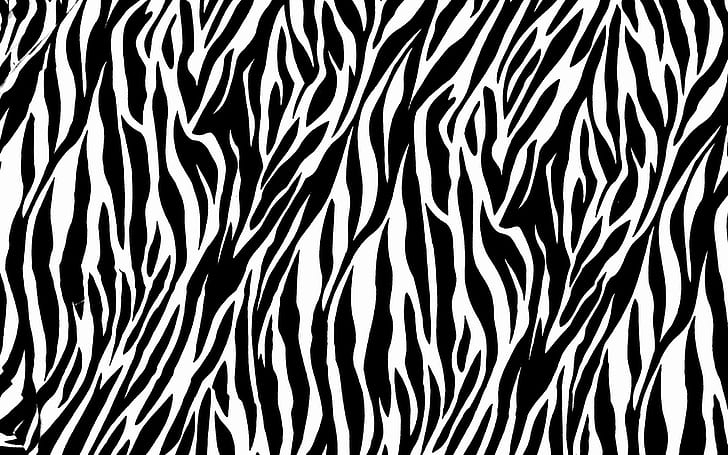 Zebra Print, background, black, white, HD wallpaper