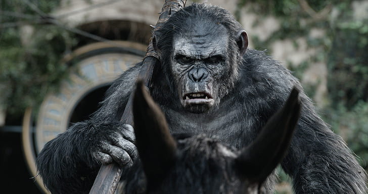 horse, monkey, Planet of the apes: the Revolution, Dawn of the Planet of the Apes, HD wallpaper