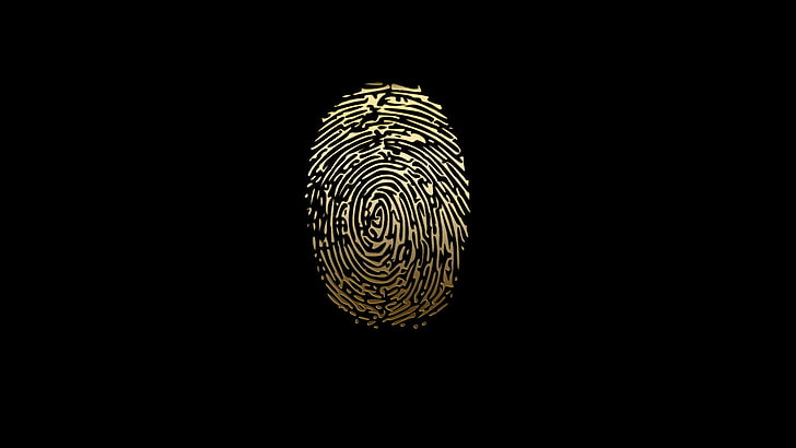 biometrics, data, fingerprint, HD wallpaper