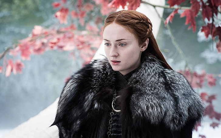 Sansa Stark, Sophie Turner, Game of Thrones, kvinnor, rödhårig, blå ögon, flätor, TV, skådespelerska, päls, pälsar, HD tapet
