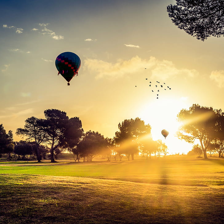 hot air balloons in sunset scenery, Amanece, hot air balloons, sunset, scenery, Canon  5D, Mk2, Sigma, 70mm, Amanecer, Mallorca, Sunrise, hot Air Balloon, flying, sky, outdoors, sport, nature, air, summer, adventure, landscape, air Vehicle, multi Colored, HD wallpaper